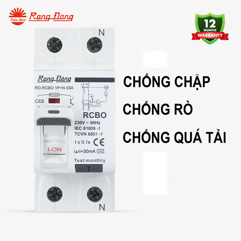 CB RCBO 2P 63A