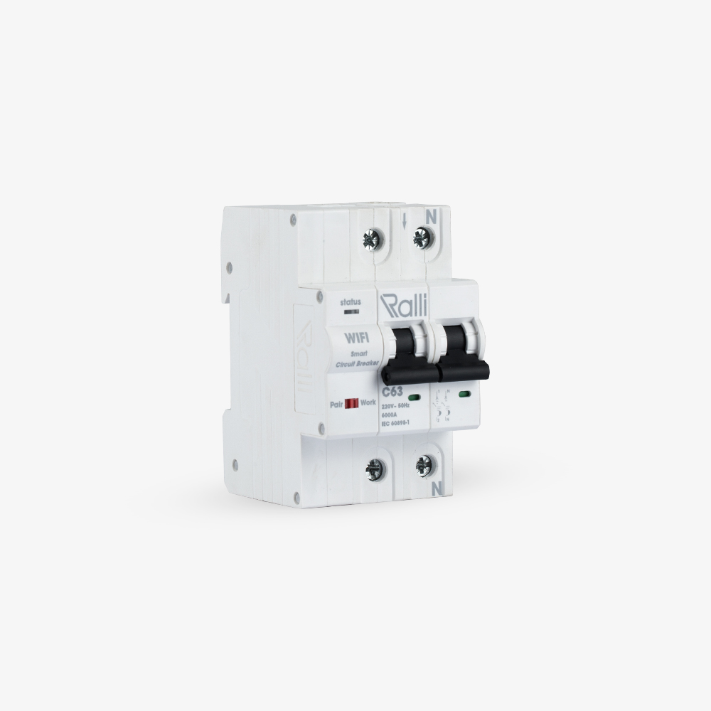 Aptomat thông minh wifi 2P 63A - Rạng Đông